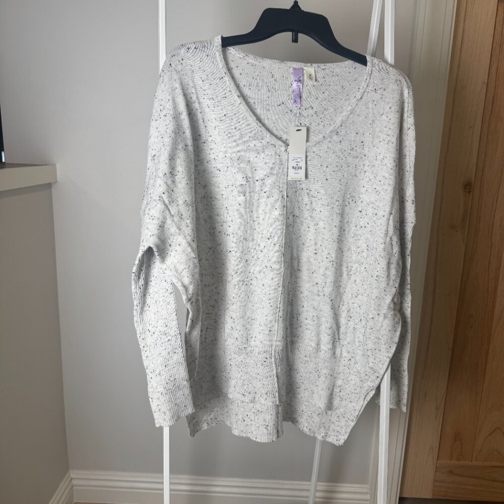 Lightest Grey with Black Specks V-neck Sweater